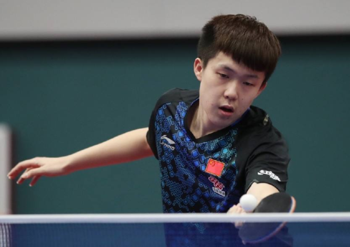 森林狼高歌 森林狼高歌