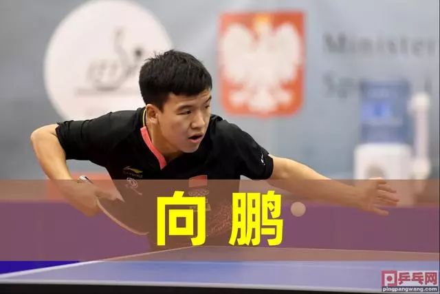 向逼抢